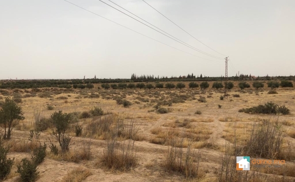 Ferme à vendre à 25 km de Marrakech